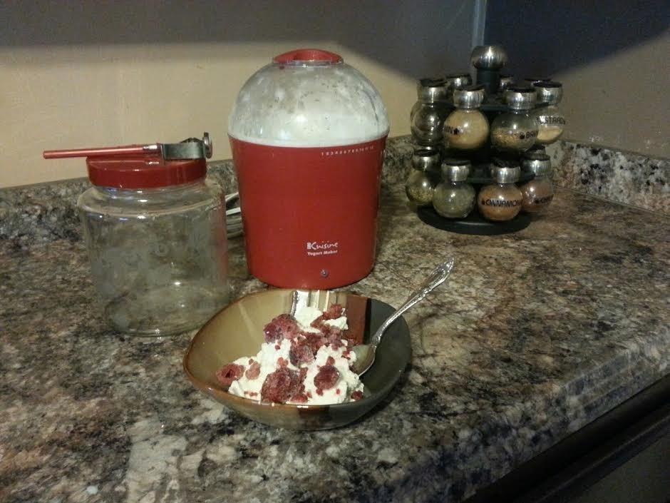 Euro Cuisine YM260 Yogurt Maker with Adjustable Time & Temperature Control, 2-Quart Glass Jar, Free Thermometer & Cotton Strainer Bag, 2025 Edition, White, Make Yummy Organic Probiotic Yogurt at Home customer photo 1