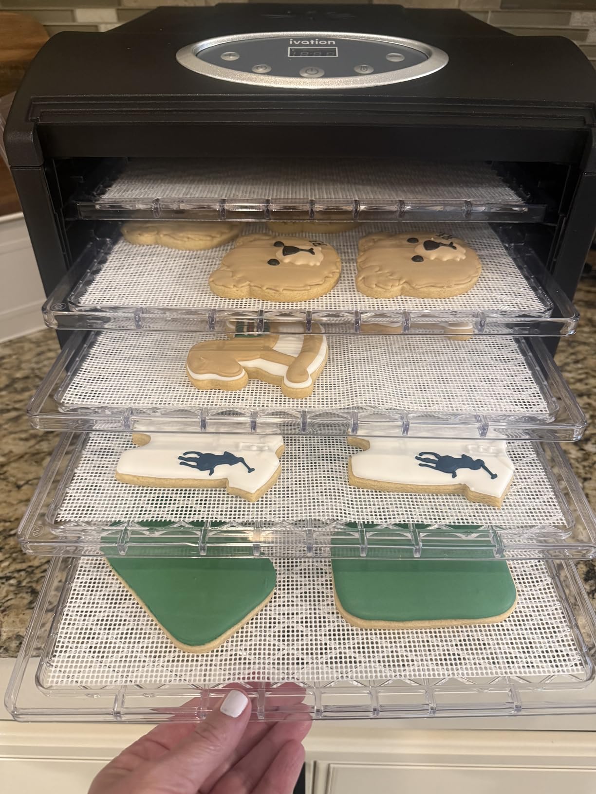 Ivation 6 Tray Food Dehydrator for Beef Jerky, Digital Timer customer photo 2