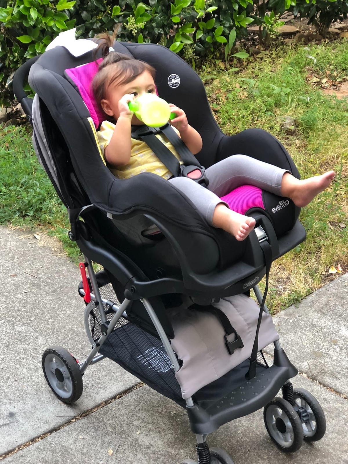 Evenflo Tribute LX Convertible Car Seat, Venus customer photo 1