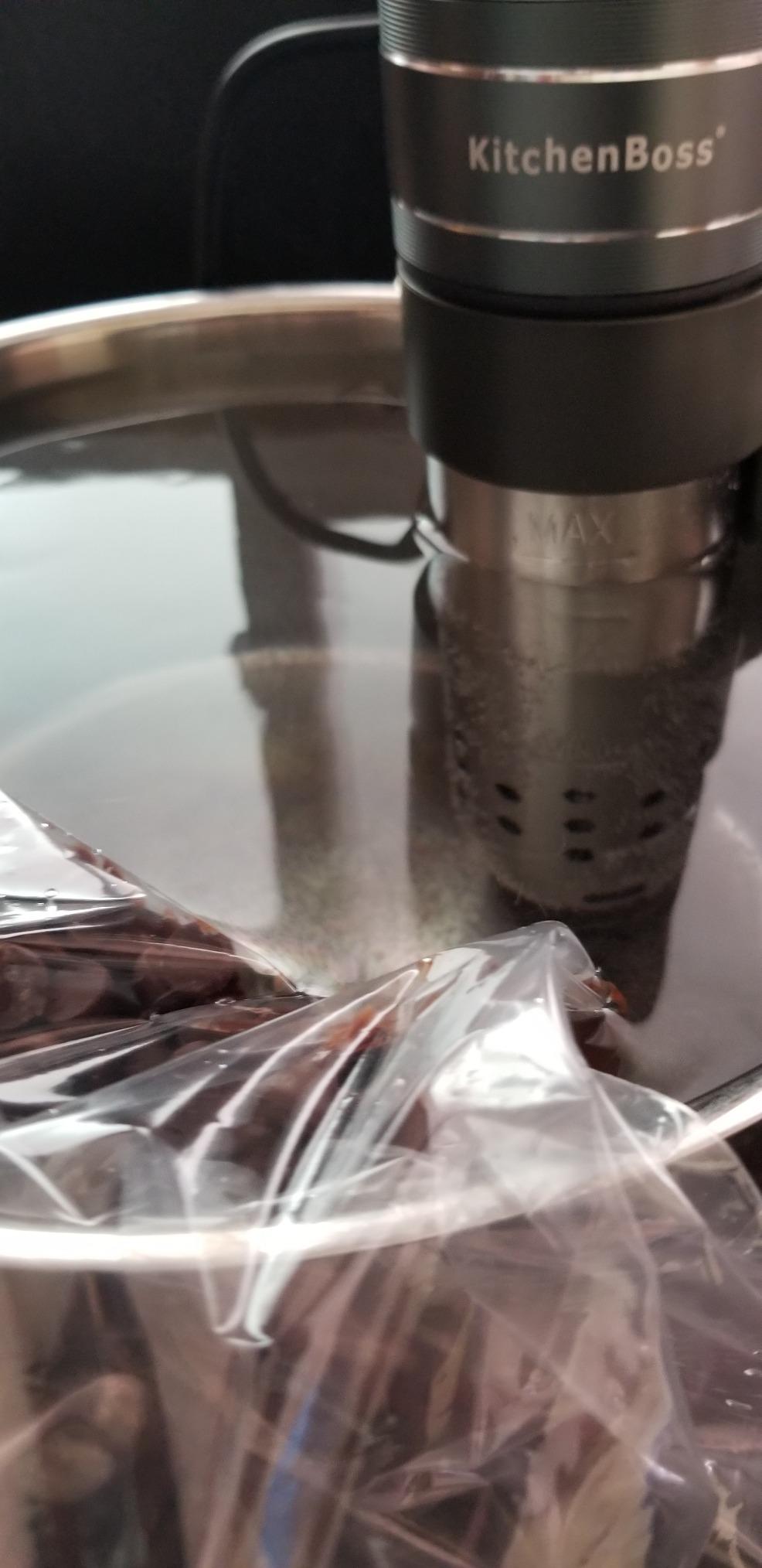 KitchenBoss Sous Vide Cooker Machine Ultra-quiet 1100 Watts Sous Vide G310S customer photo 1