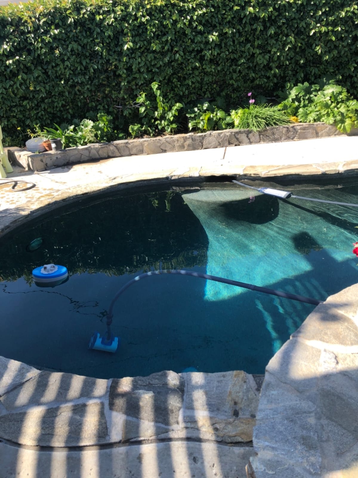 Hayward AquaNaut 200 Suction Pool Cleaner, Automatic Pool Vacuum (2 Wheel) customer photo 2