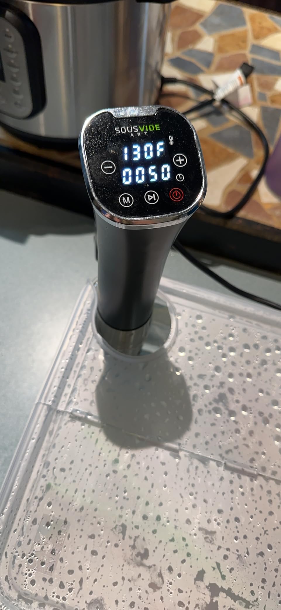 Sous Vide Cooker 1000W | Digital Sous Vide Machine with 30 Vacuum Seal Bags customer photo 1