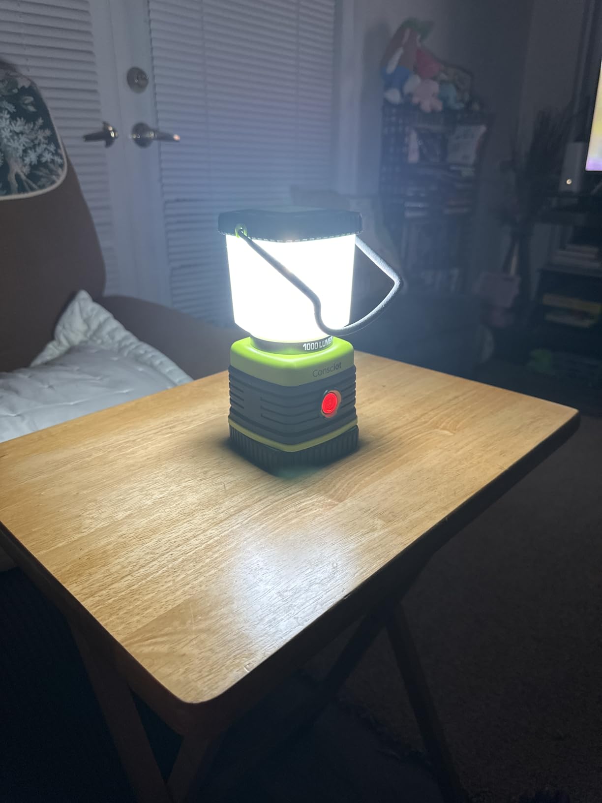 Consciot 1000LM Battery Powered LED Camping Lantern, 4 Light Mode, Dimmable customer photo 1