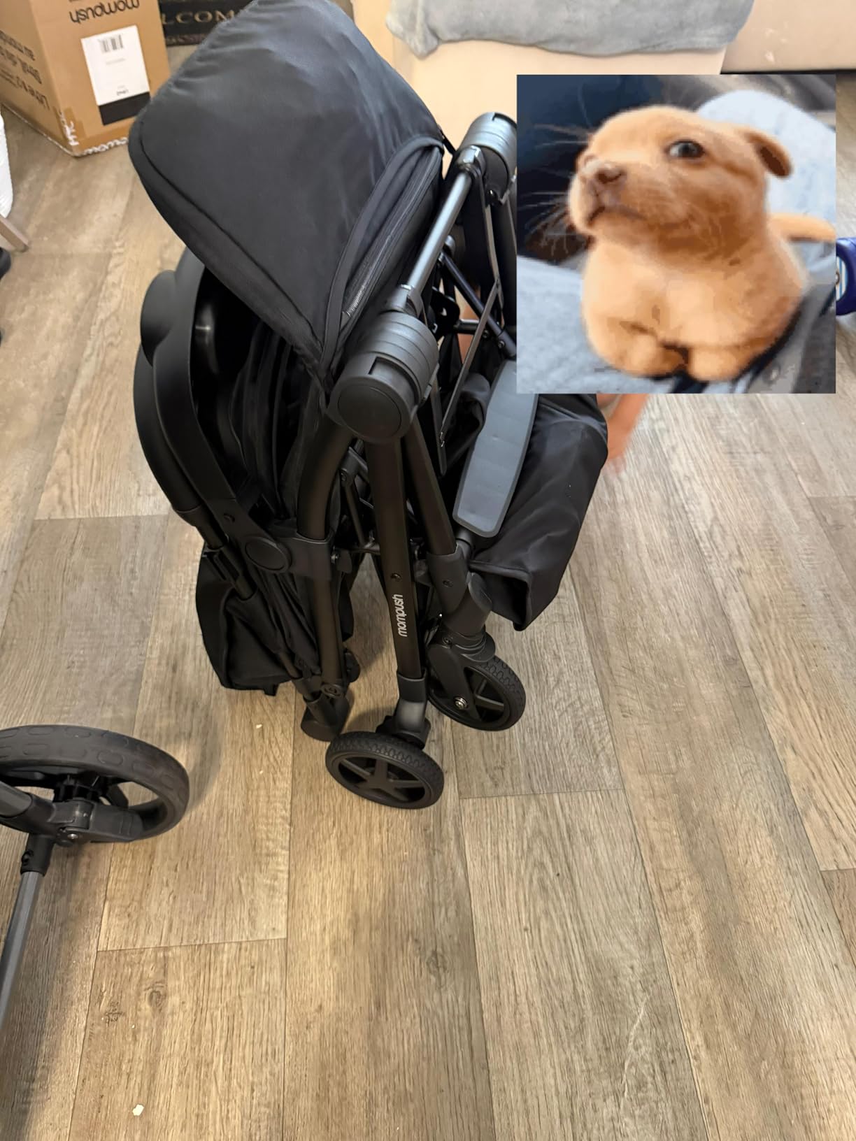 Mompush Lithe V2 Lightweight Travel Stroller Snack Tray Included, Khaki customer photo 2
