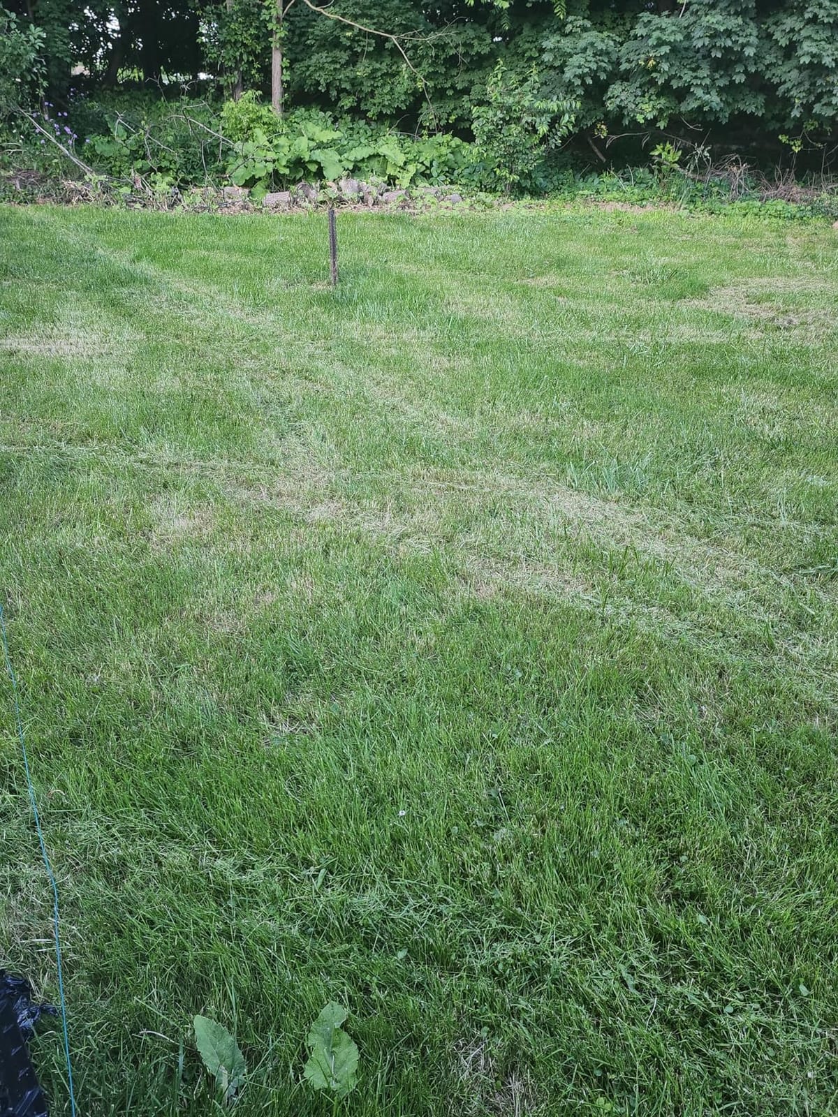 LawnMaster OcuMow Robot Lawn Mower with Cordless 24V MAX 10” Grass Trimmer Combo Kit Perimeter Wire Free for Small Yards 2000-4000 Square Feet Optical Navigation Automatic Obstacle Avoidance Spot Cut customer photo 1