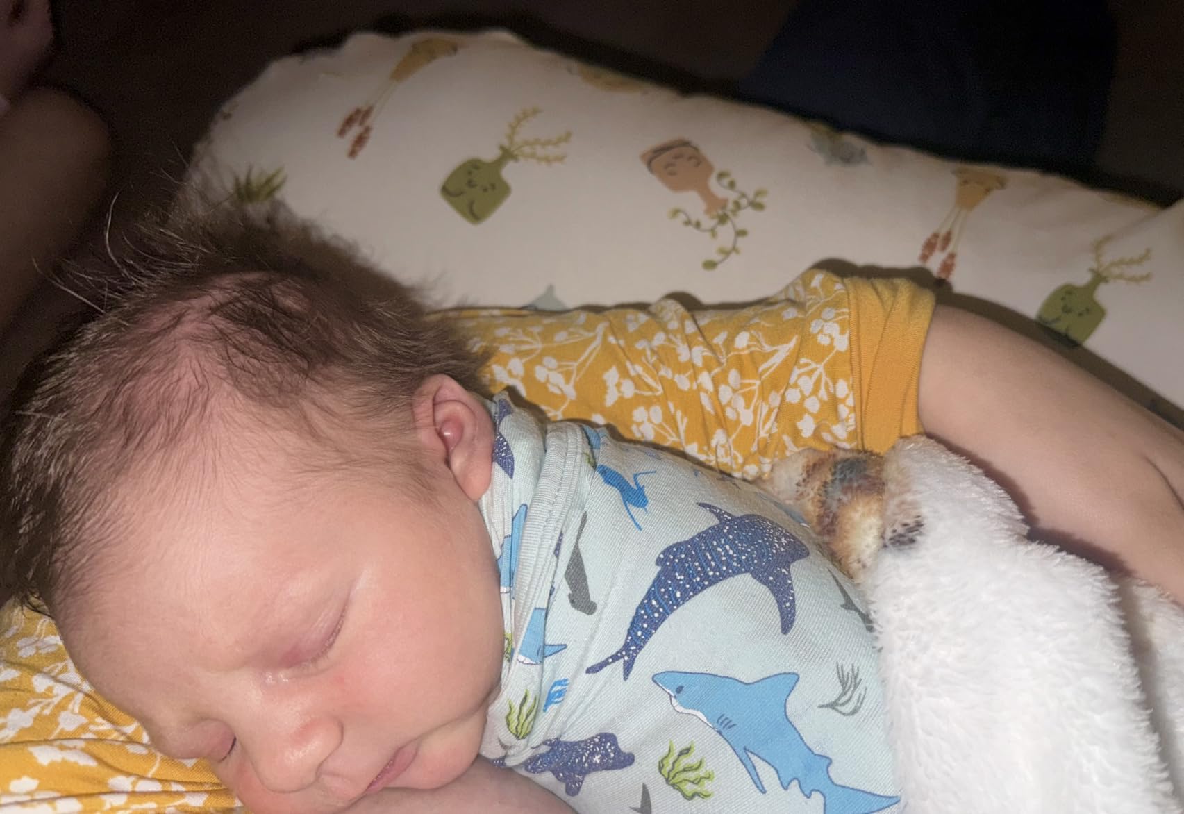 Boppy Nursing Pillow, Safe Ergonomic Breastfeeding & Baby Feeding Support customer photo 1