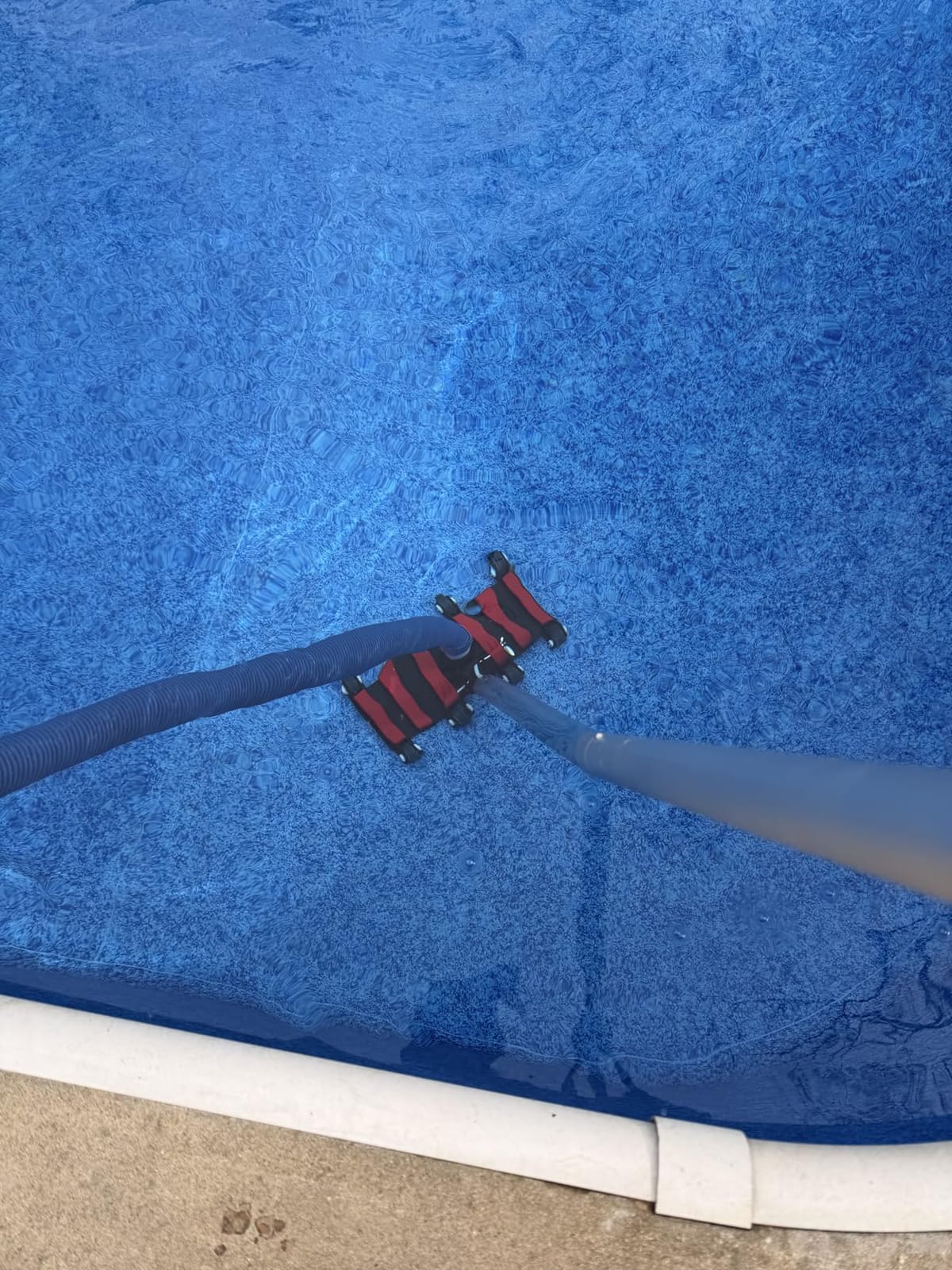 Sepetrel Commercial Grade Pool Vacuum Head with Wheels,14