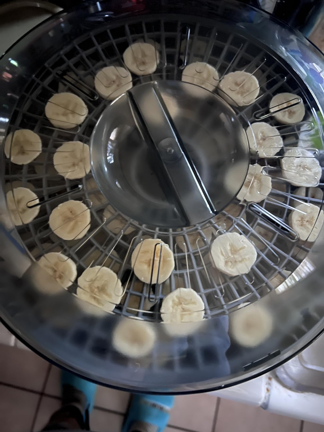 Elite Gourmet 5-Tray Digital Food Dehydrator, Stainless Steel, Keep Warm customer photo 2
