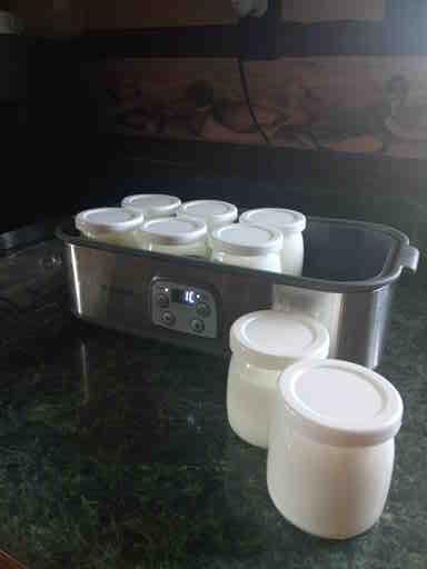 Ultimate Probiotic Yogurt Maker with TruTemp™ Adjustable Temperature & Time Control, Make Trillions of Probiotics for Gut Health, Two 1-Quart Containers for Larger Batches, UNLIMITED LIFETIME WARRANTY customer photo 1