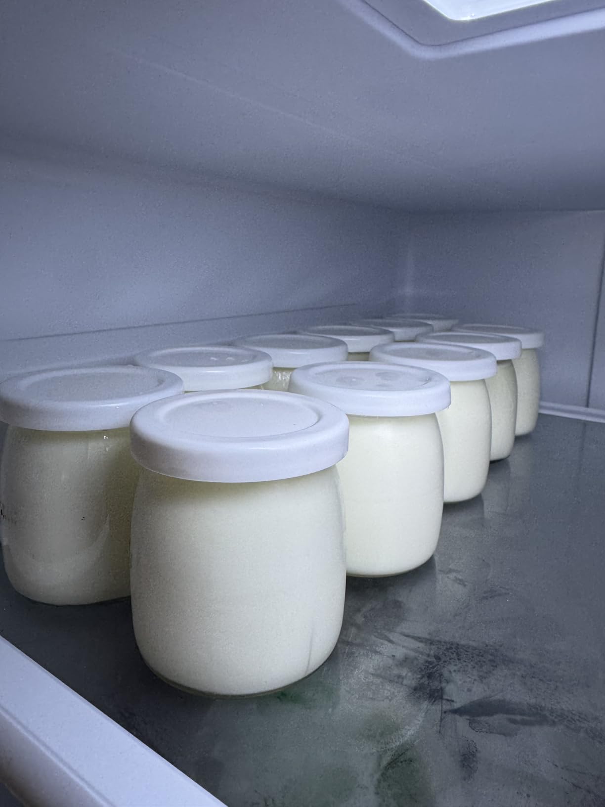 Yogurt Maker 6 Jars with Temp & Timer Control for Probiotic customer photo 2