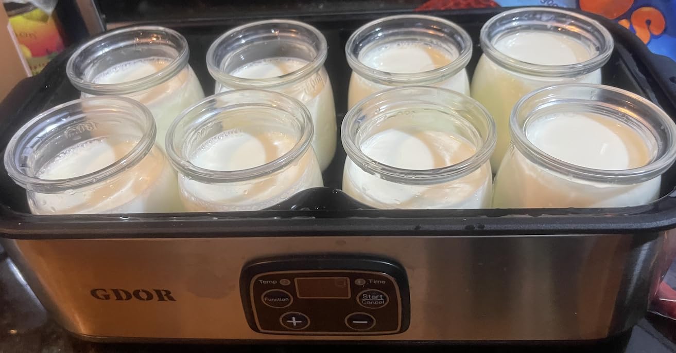 GDOR Yogurt Maker Machine with Temperature Control, 48H Timer Digital Greek Yogurt Machine with 8×6oz BPA-Free Glass Jars, Stainless Steel customer photo 2