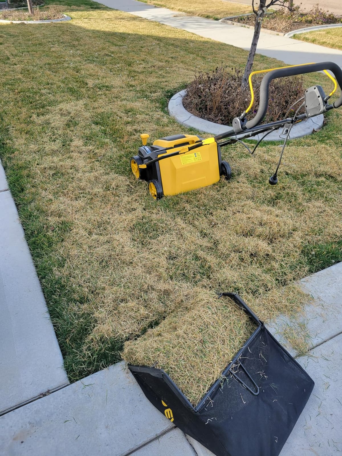2026 Upgraded Electric Dethatcher Scarifier 16-Inch, EVEAGE 2-in-1 Lawn Dethatcher with 5-Position Depth Adjustment, 14.5-Gallon Collection Bag, Quick-Fold Lawn Scarifier for Healthy Lawn customer photo 2